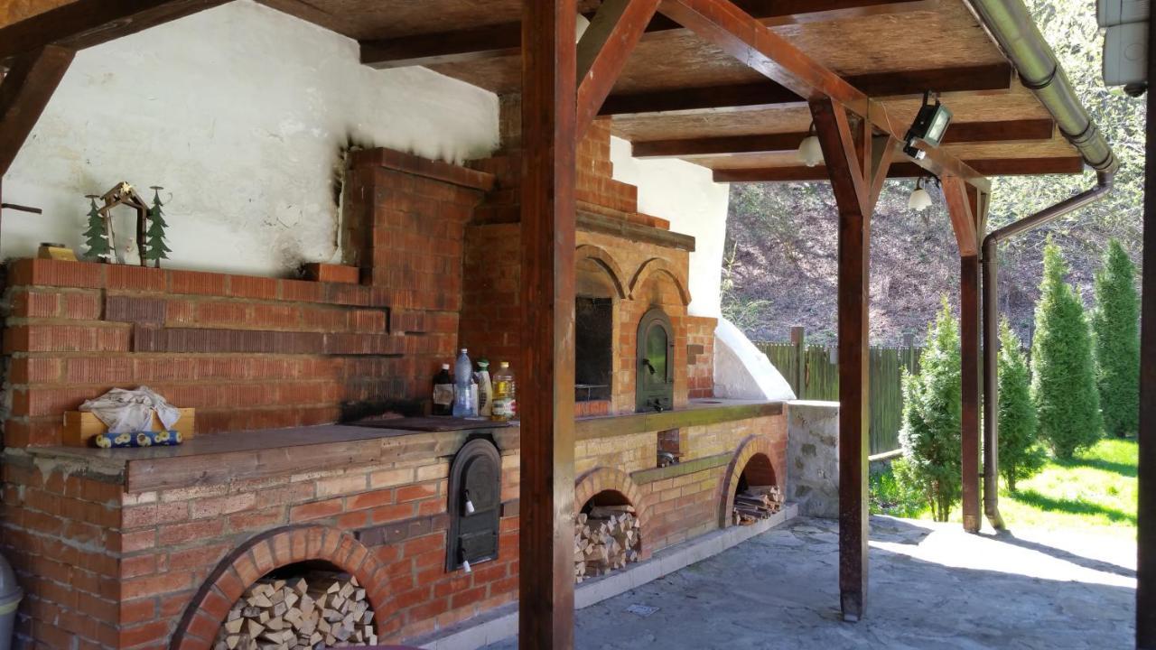 Casa Alex Villa Văliug Екстериор снимка