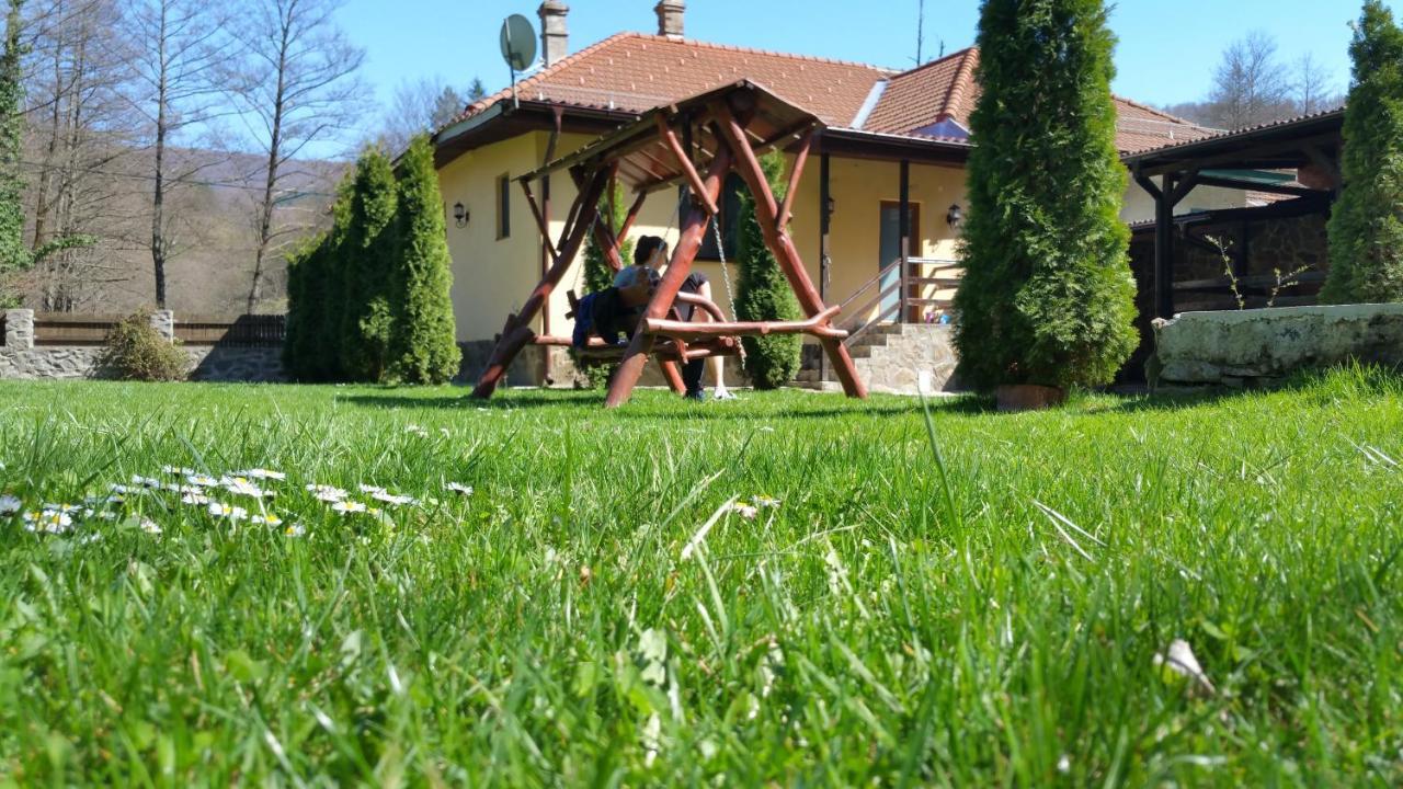 Casa Alex Villa Văliug Екстериор снимка