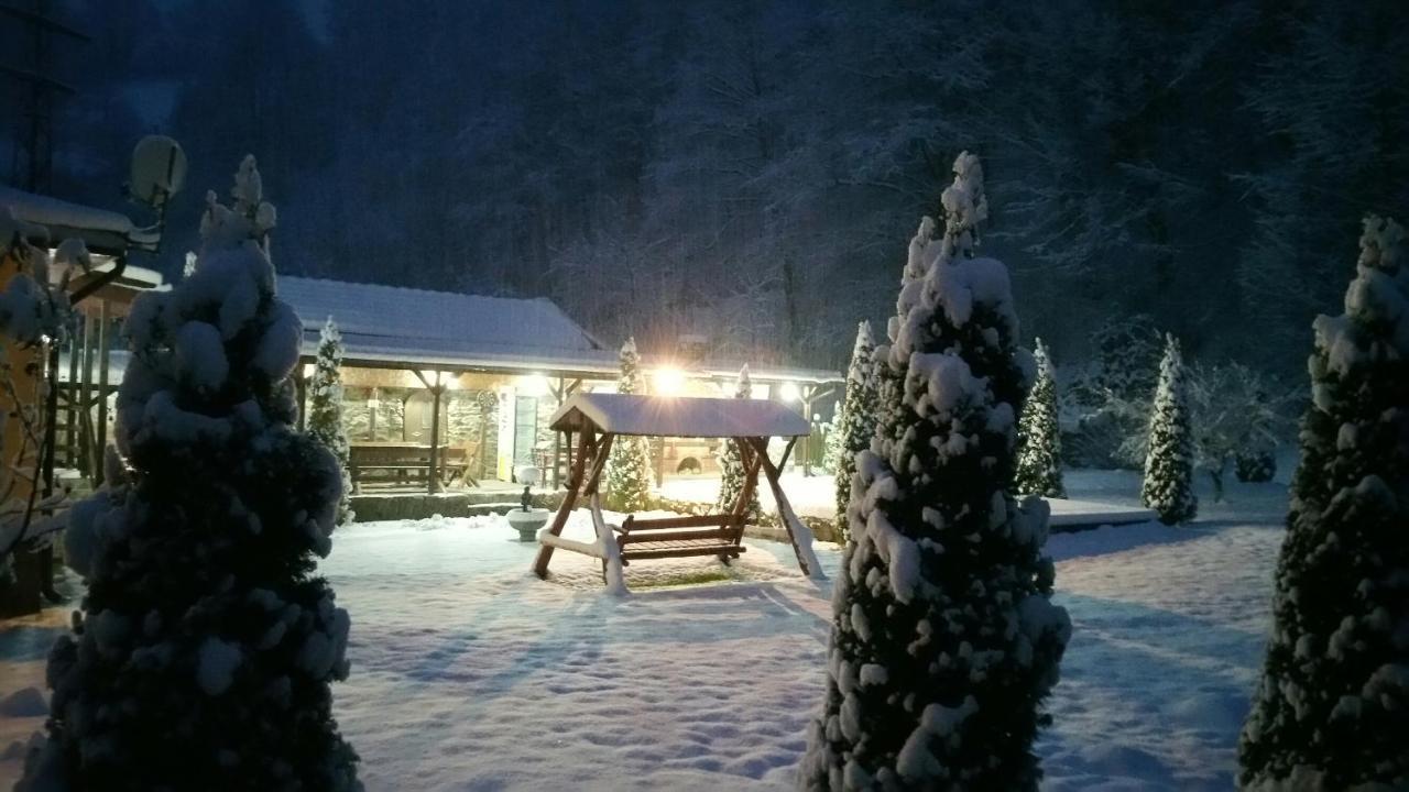 Casa Alex Villa Văliug Екстериор снимка