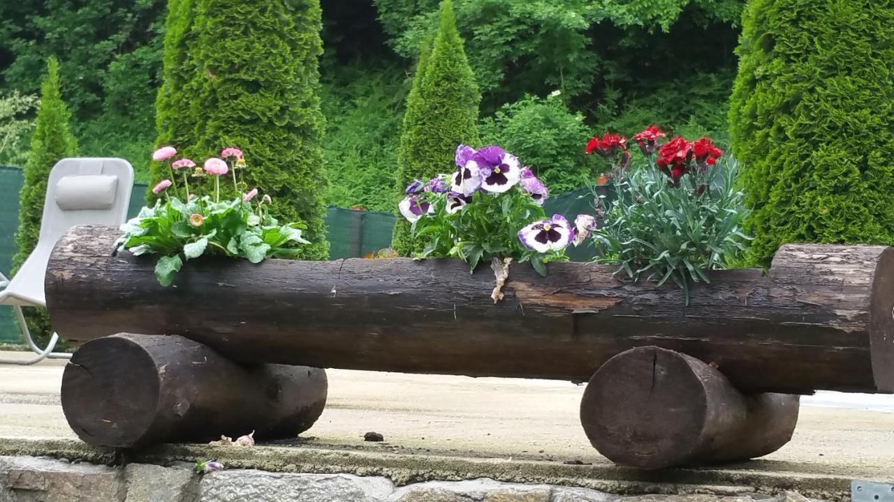 Casa Alex Villa Văliug Екстериор снимка