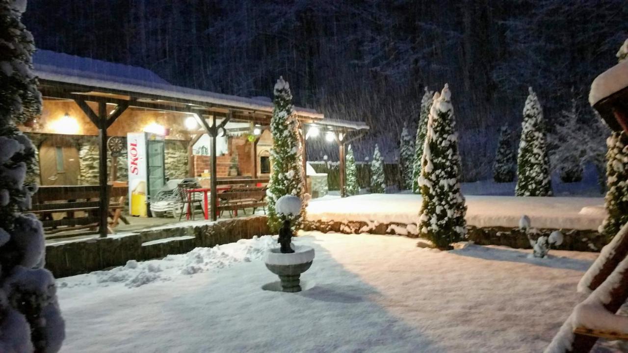 Casa Alex Villa Văliug Екстериор снимка