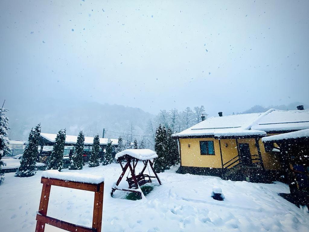 Casa Alex Villa Văliug Екстериор снимка