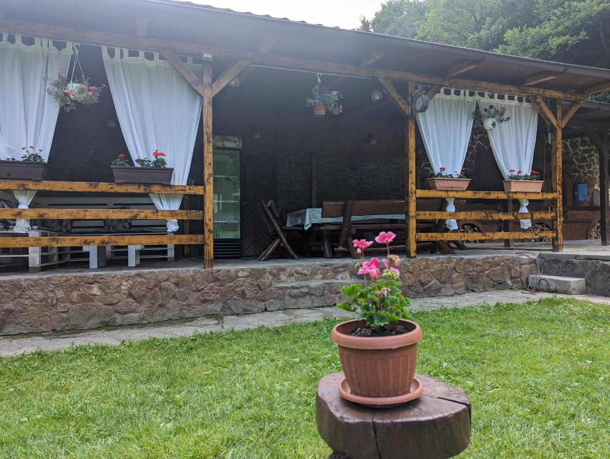Casa Alex Villa Văliug Екстериор снимка