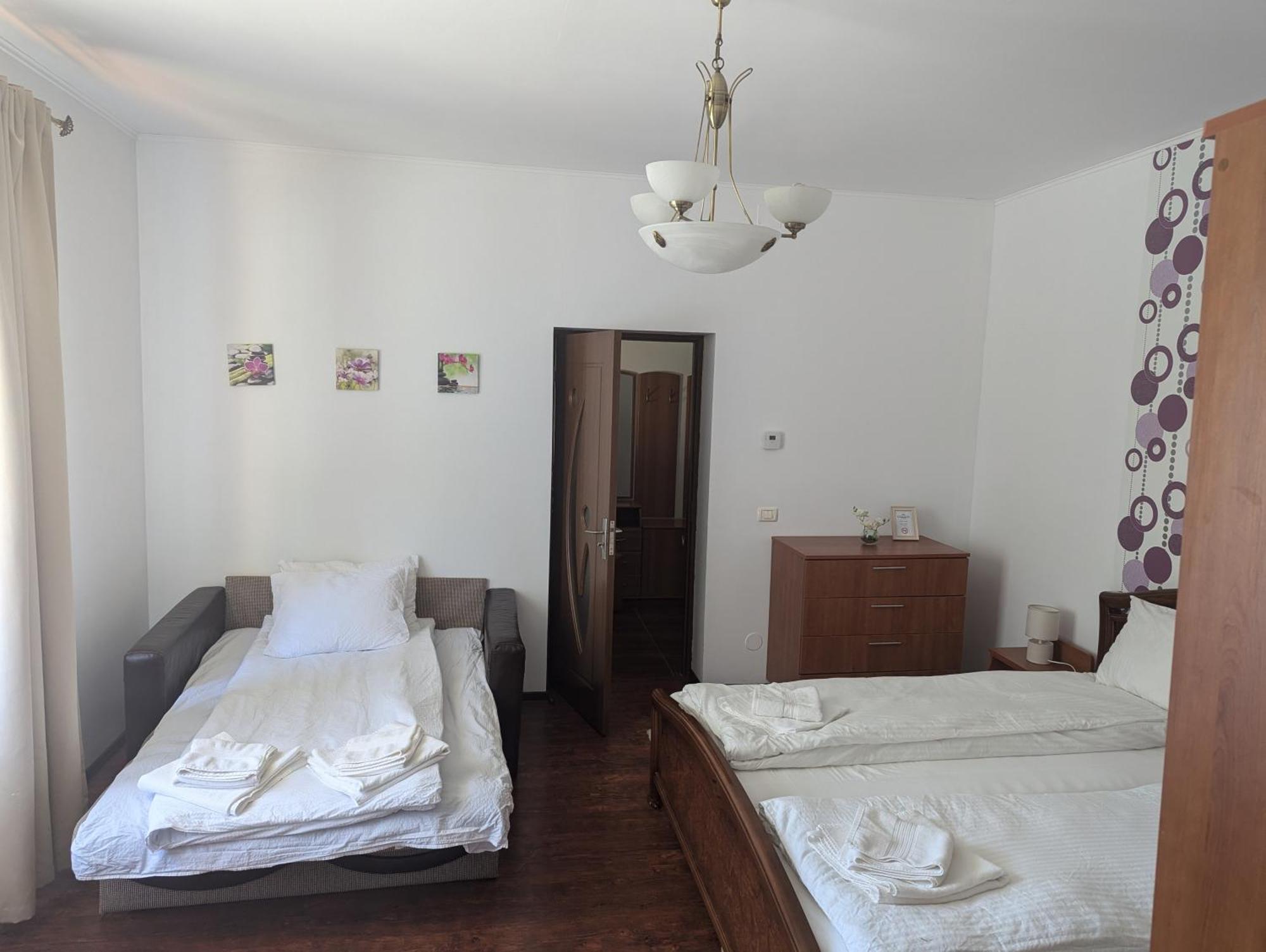 Casa Alex Villa Văliug Екстериор снимка